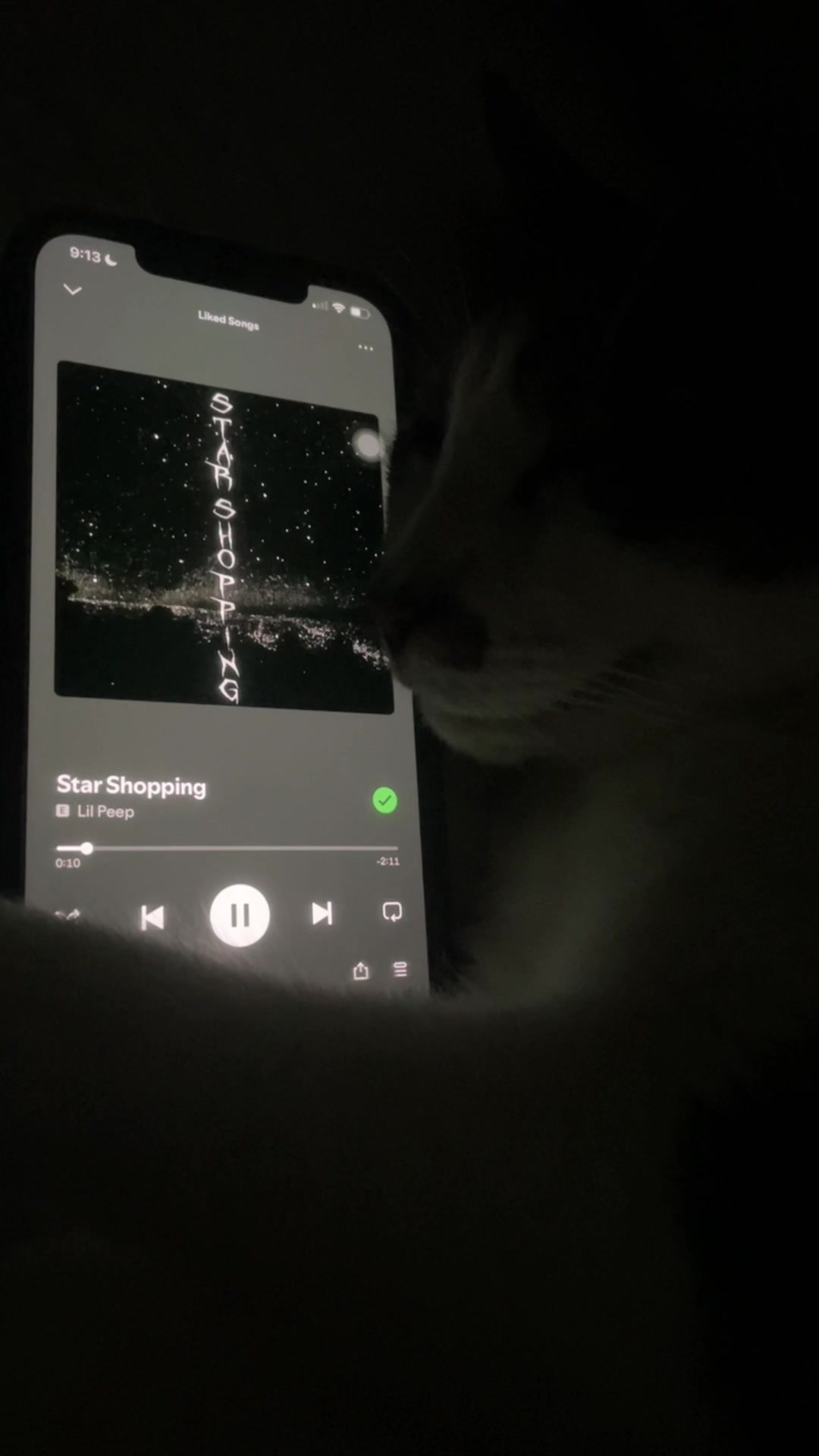 @sleepycatwithmusic