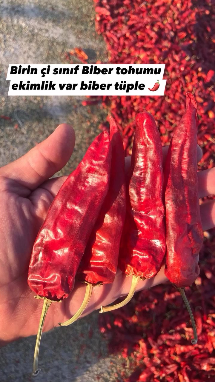 @HASAN AVŞAROĞLU🧿🌶️