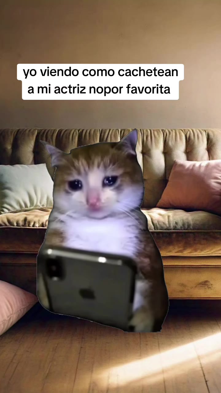 @apolo