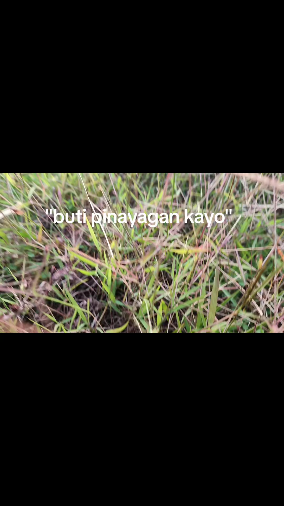 @FAVI:吃•|Chadシ