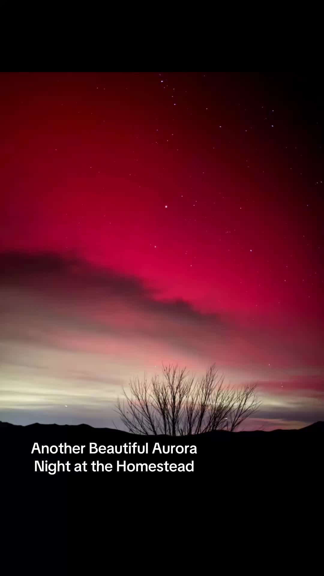 @Alternative__Living