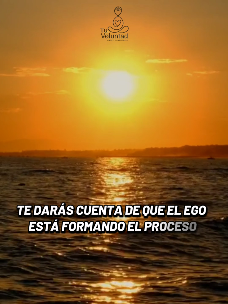@Tu Voluntad