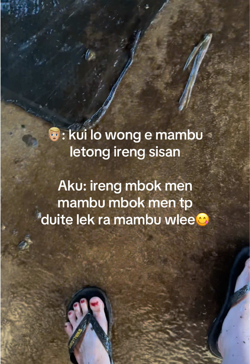@Diah ayu komalasari