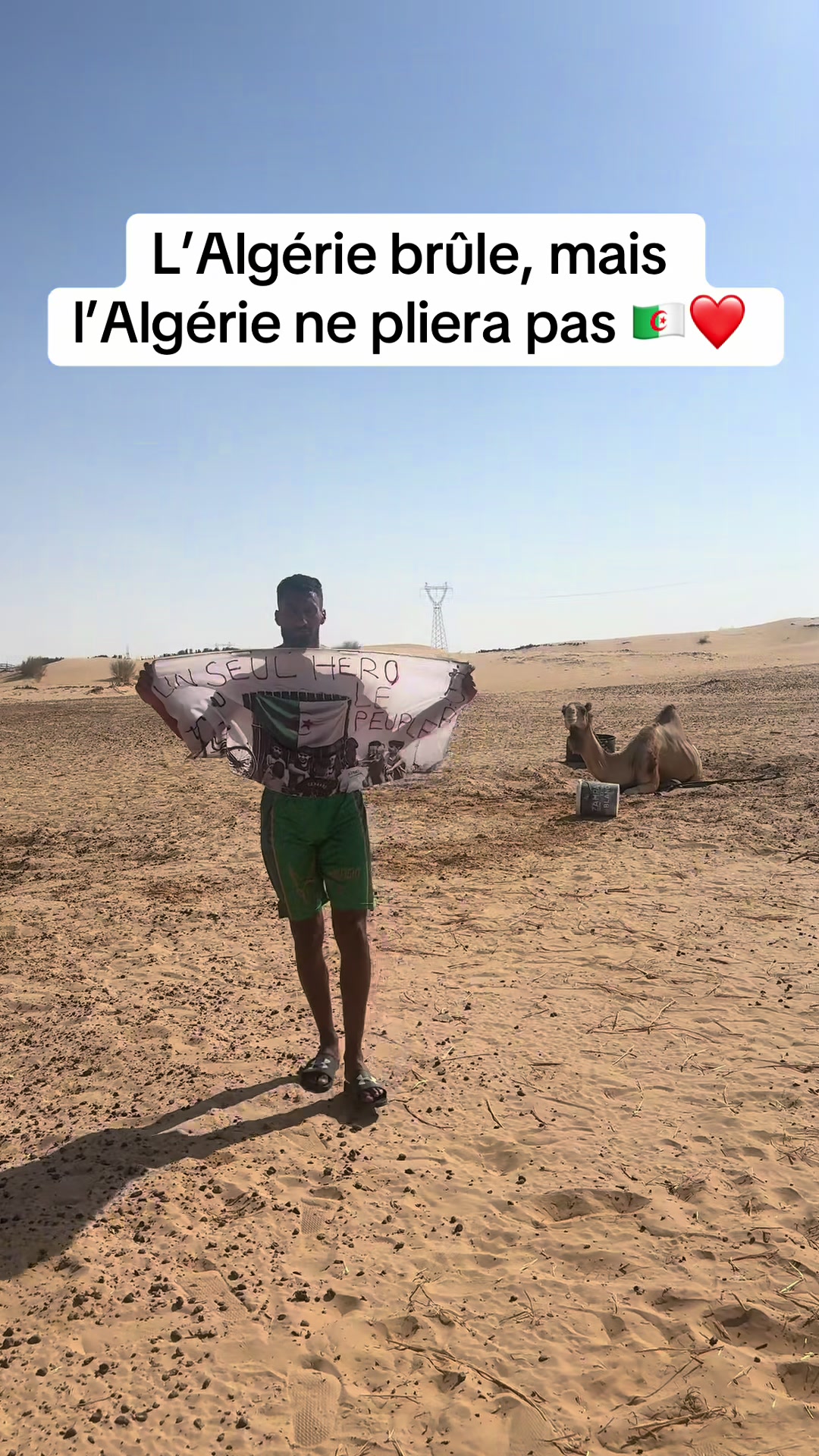 @Abdelrahmane Rezzag