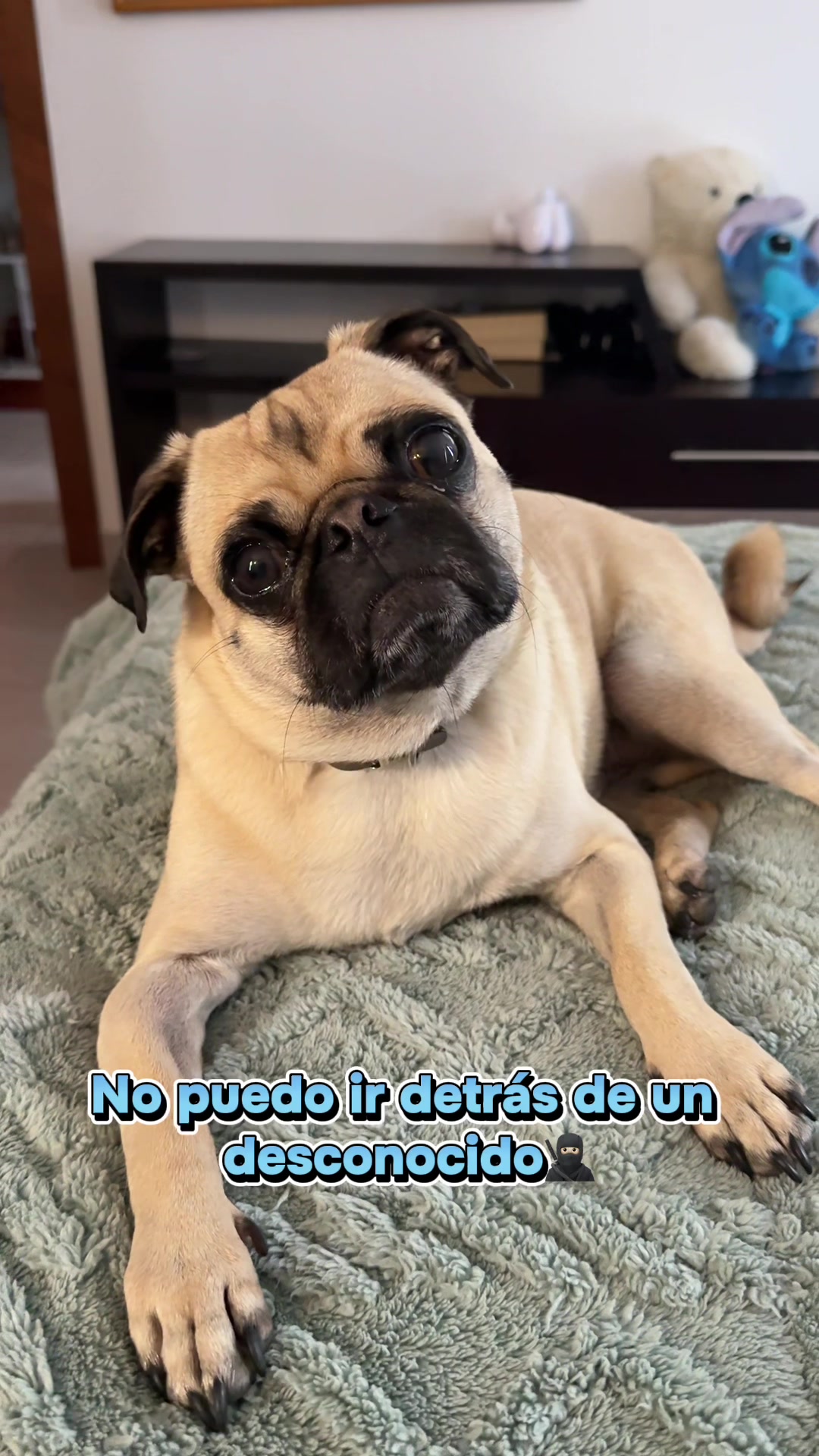 @Alexa&elcarnalchiss