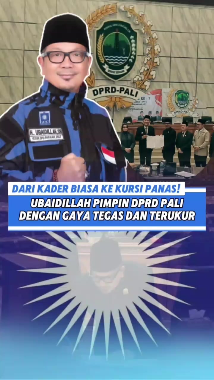 @PALIProgress