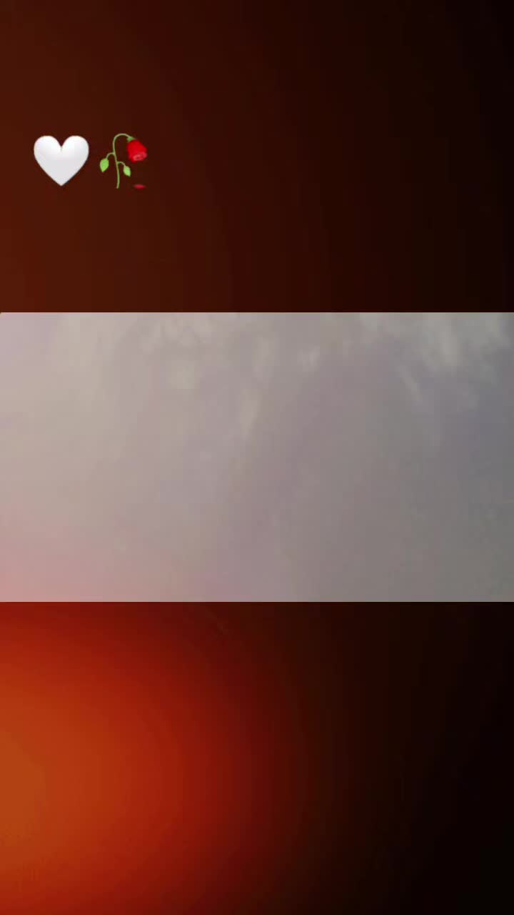 @👑Sajeel SaJu Malik👑
