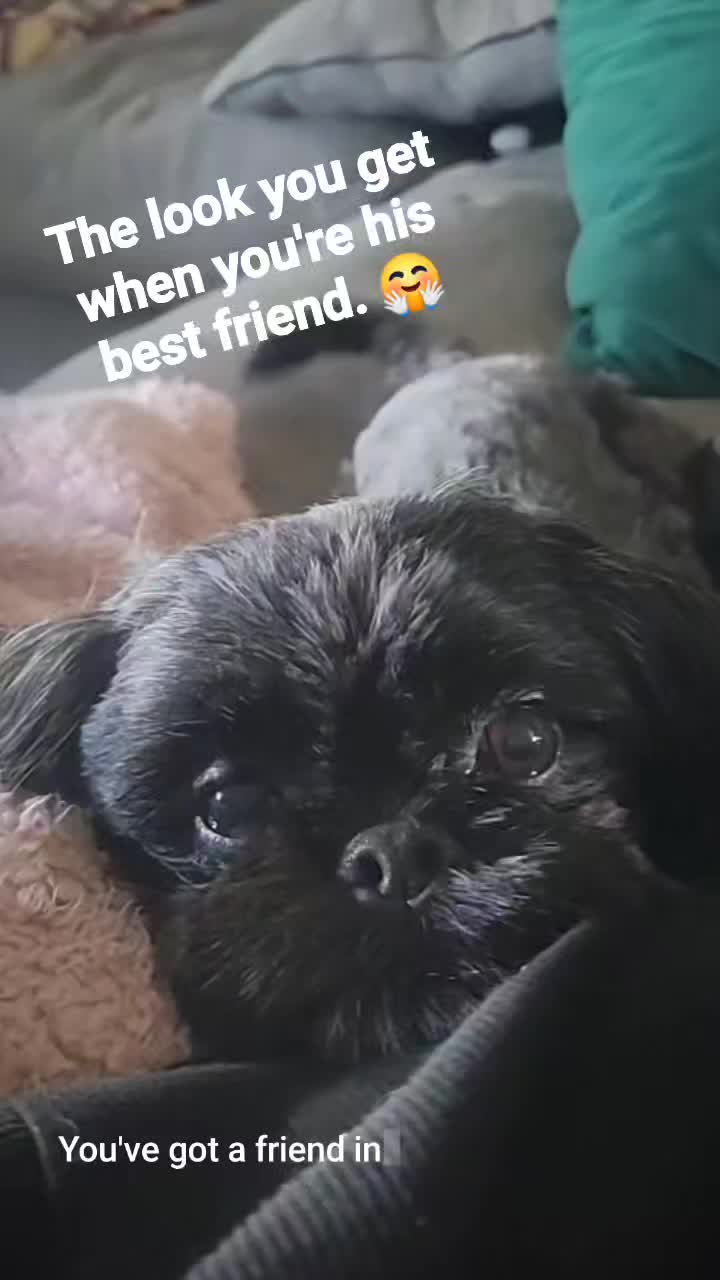 @B
