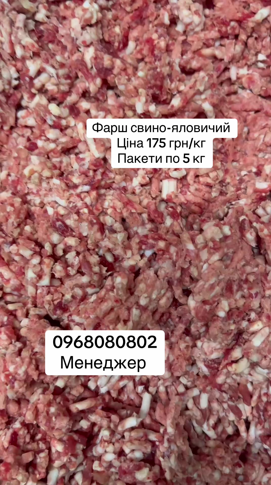 @msmakoluku