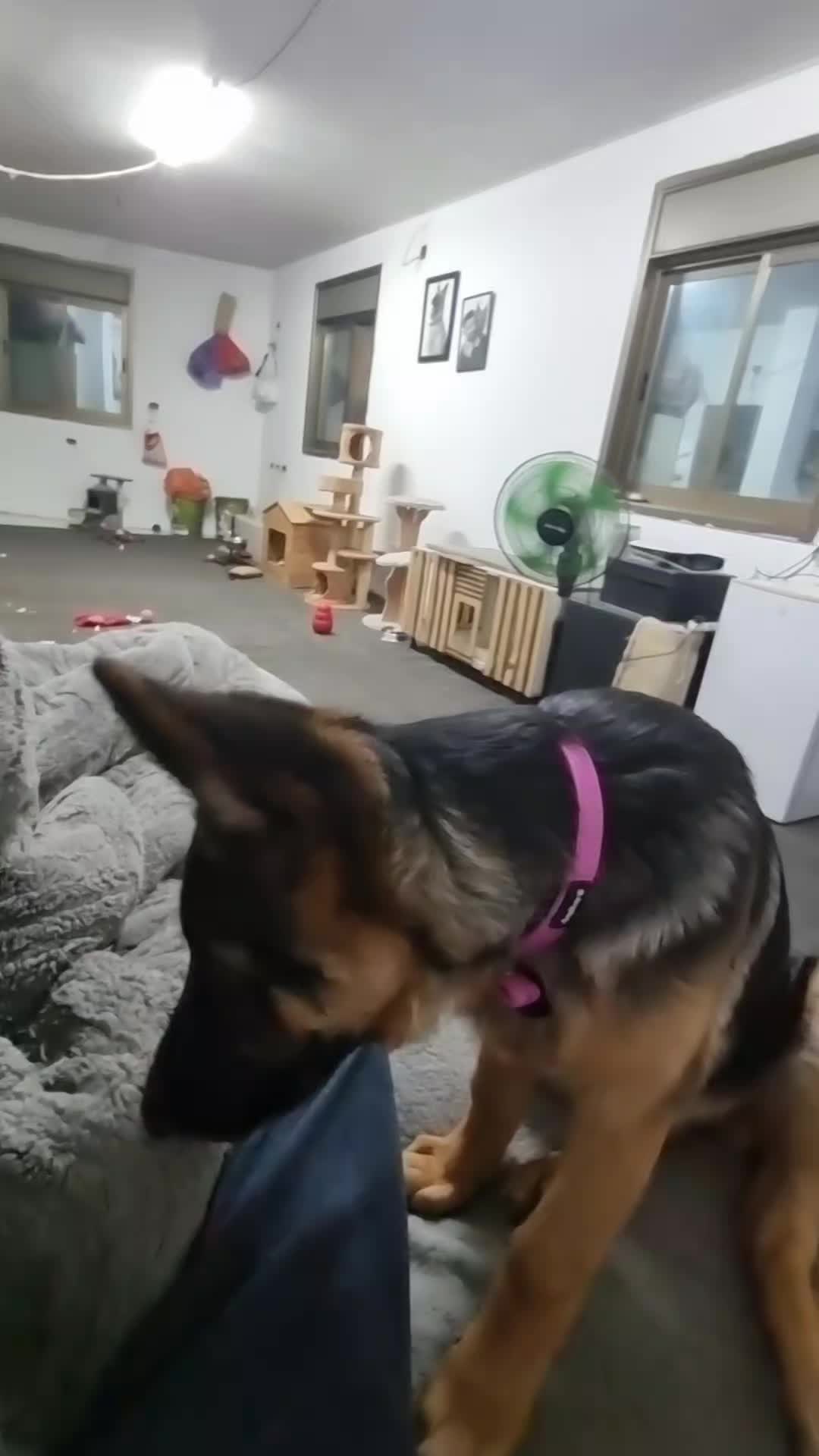 @Lucy ❤️