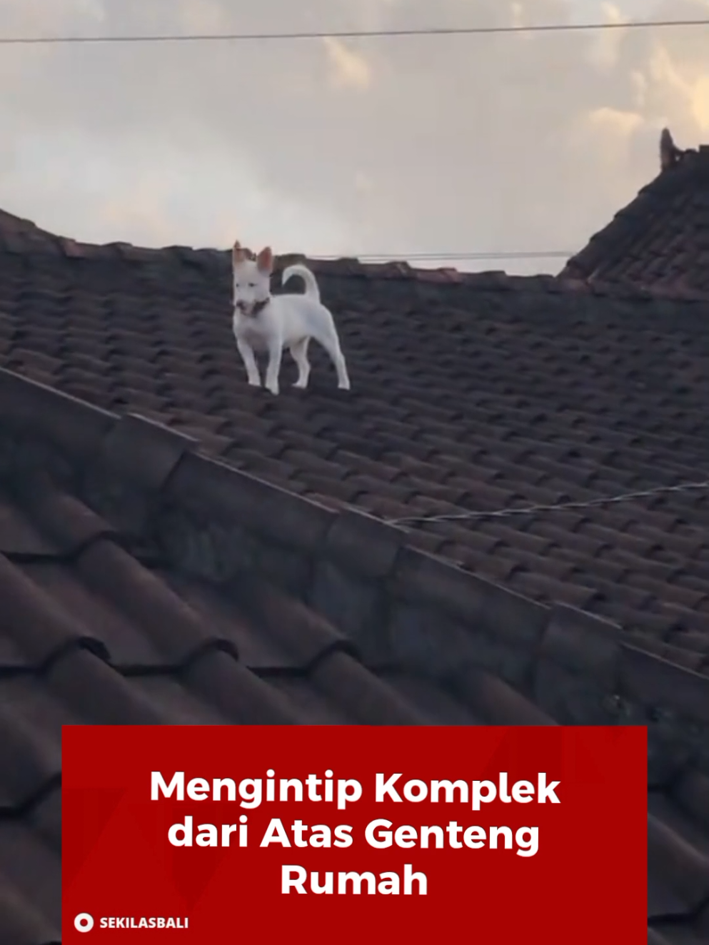 @Sekilas Bali