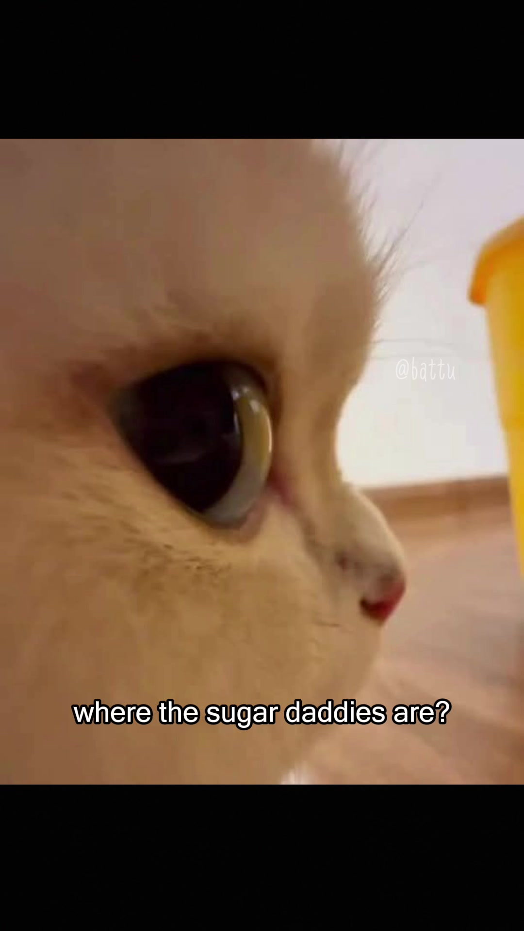 @Battu