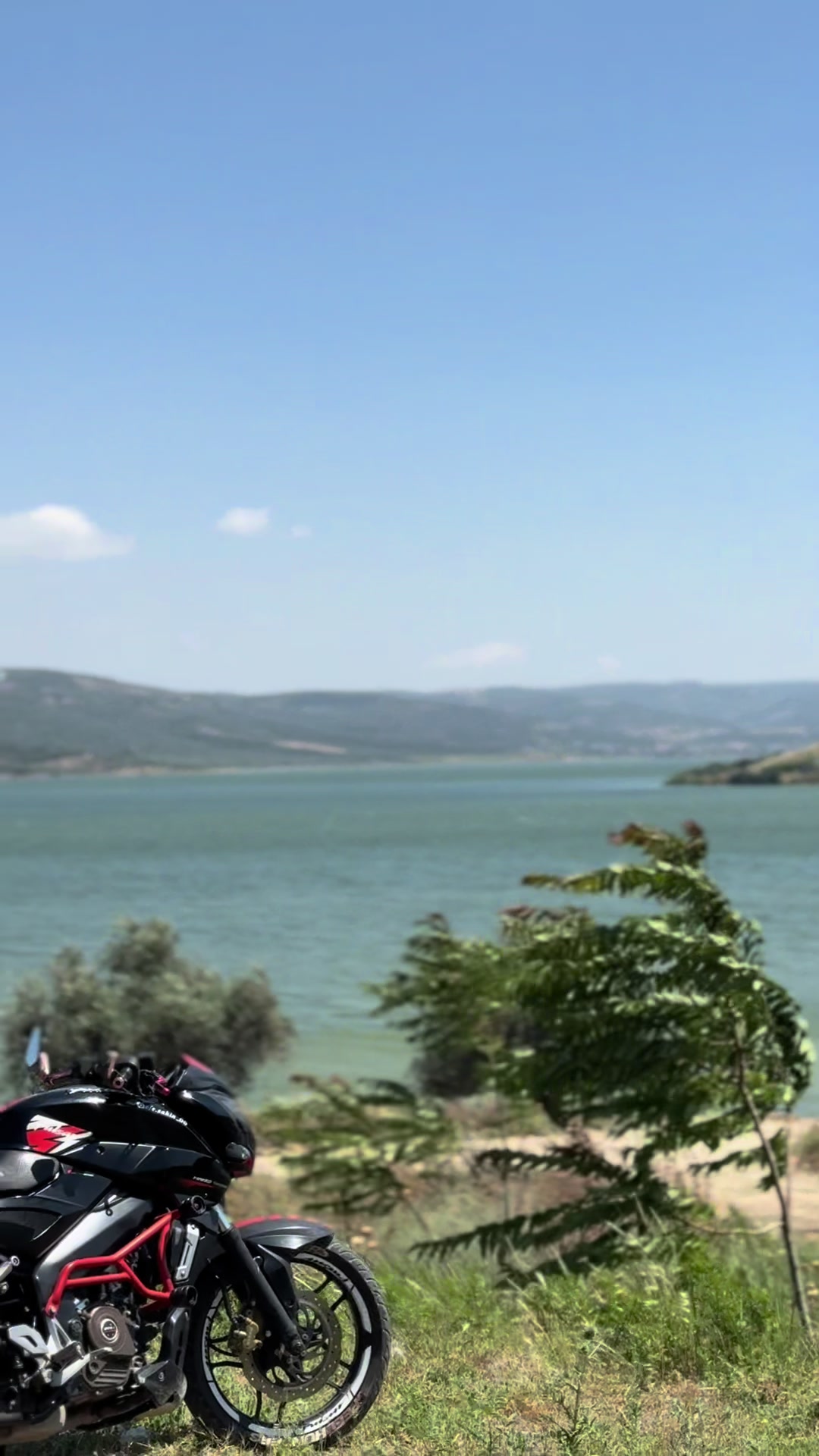 @Efe Şahin