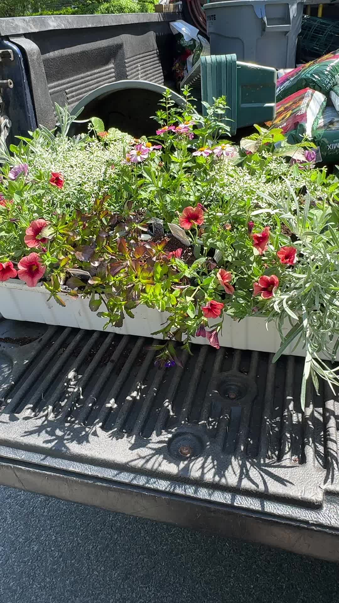 @NancyPena