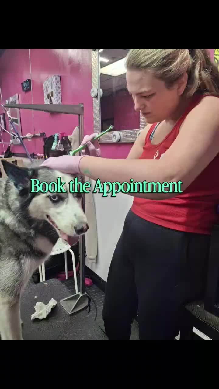 @Furbabies Grooming