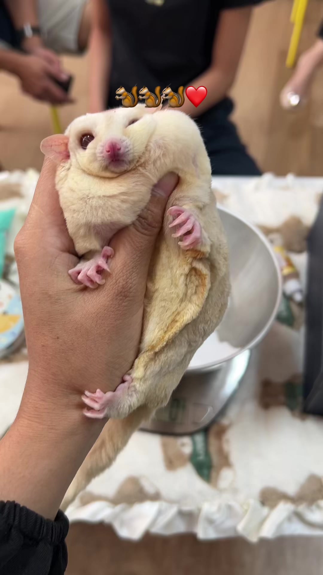 @jesugarglider.id1