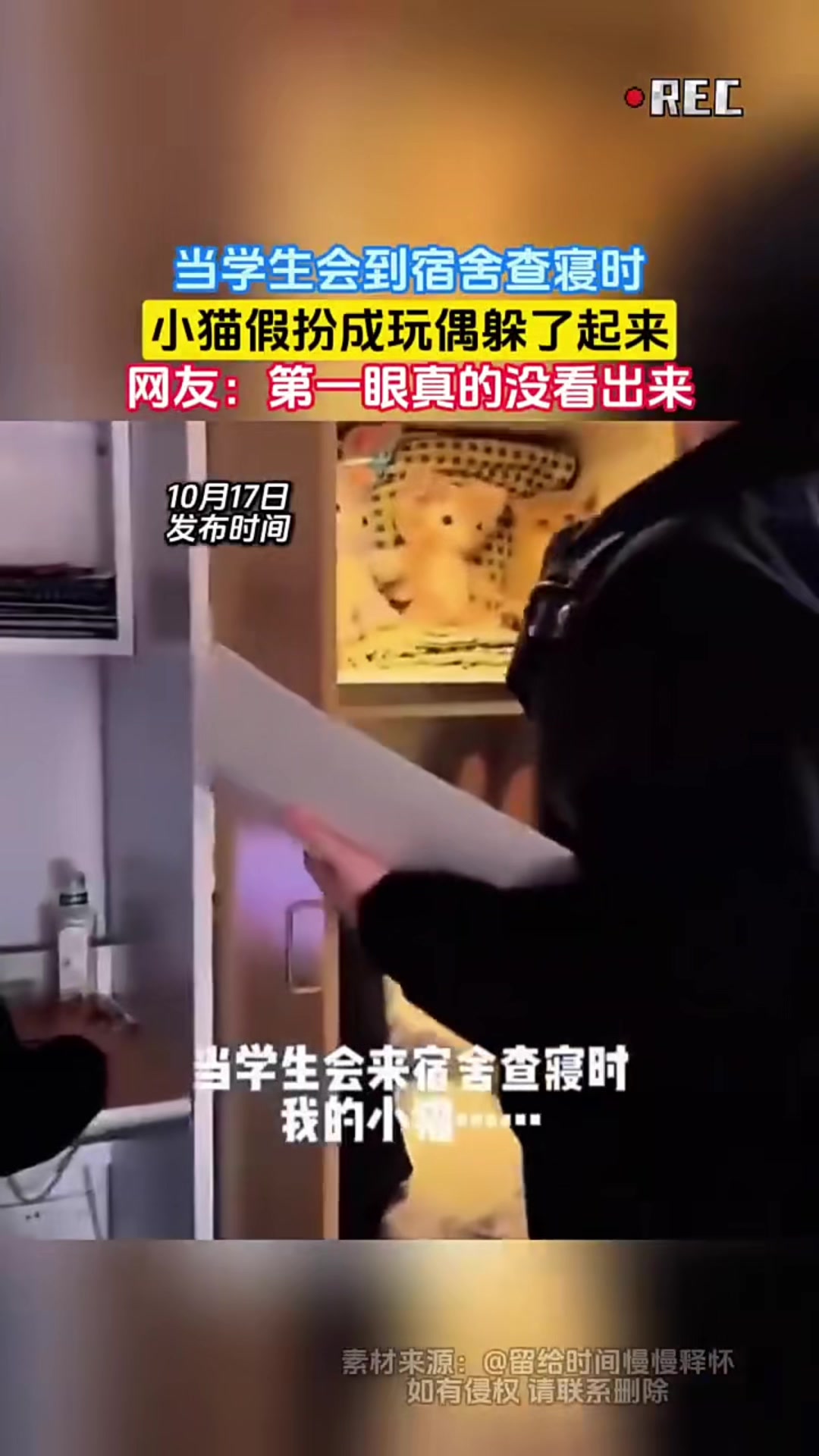 @中国蓝国际