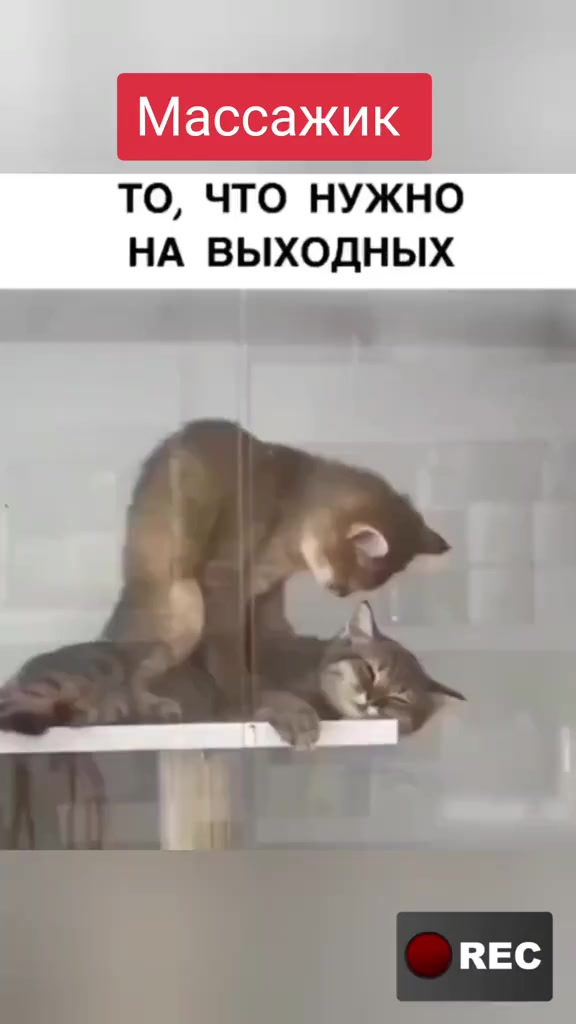 @Лариса