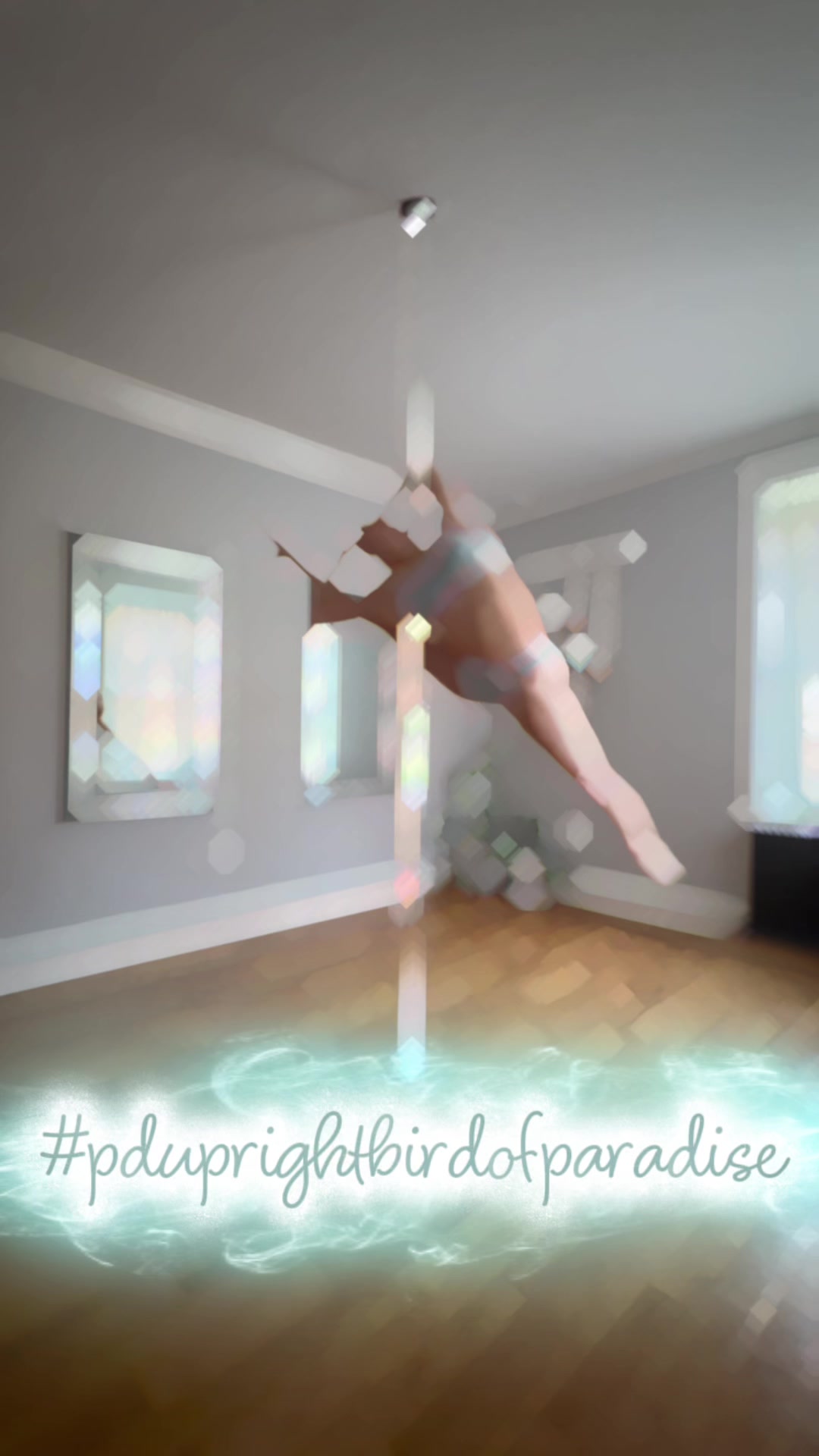 @Aerial Allie