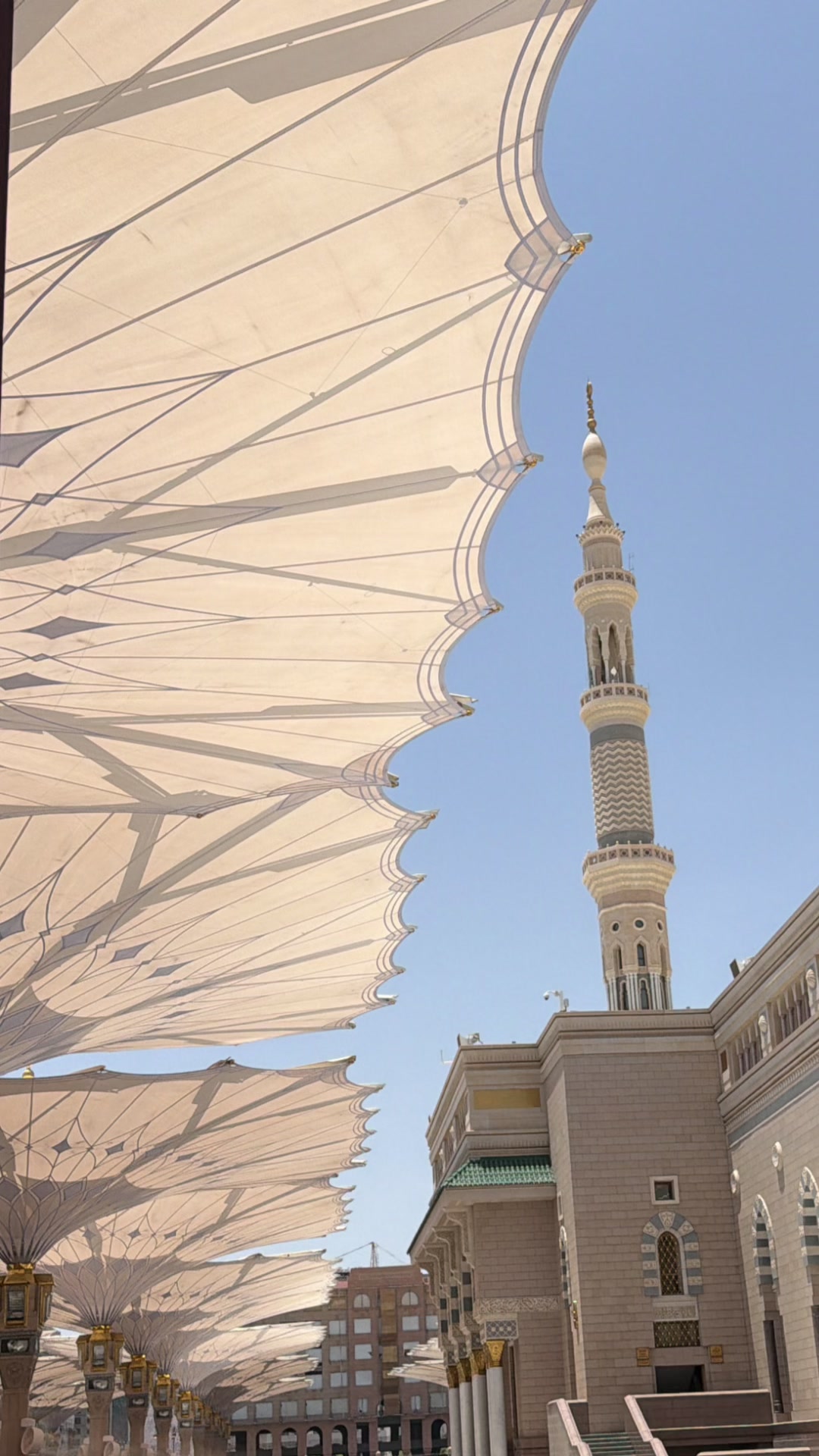 @Alghamdy