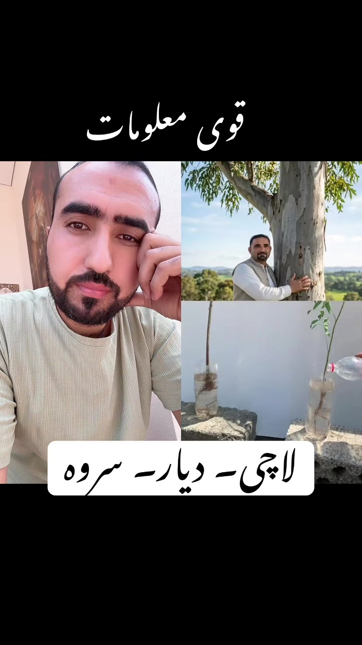 @Abdullah
