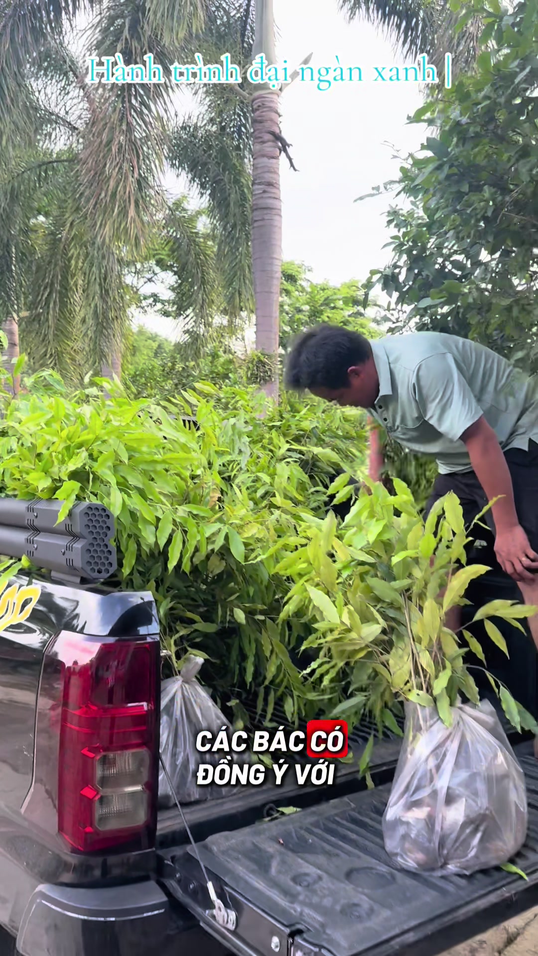 @D&oacute; Đen Việt !