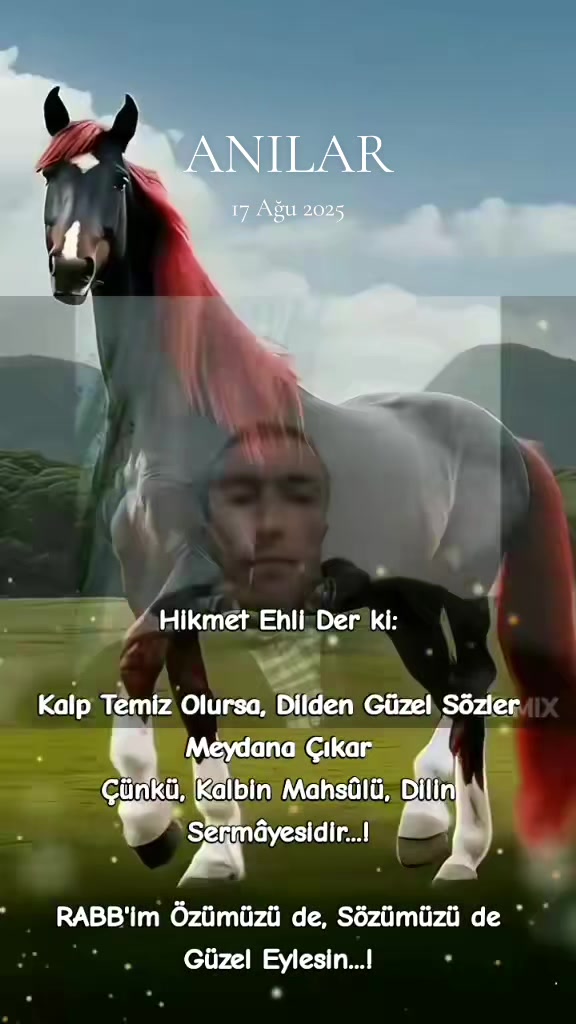 @yılmaz Çetinkaya