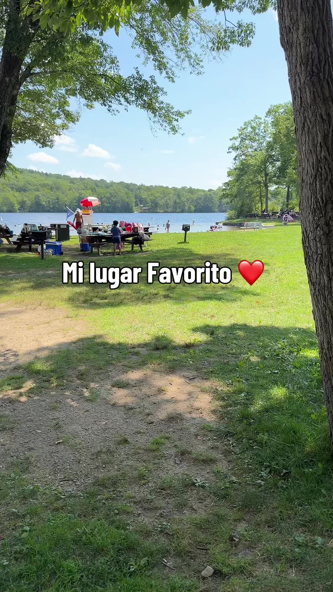 @joselinvilela