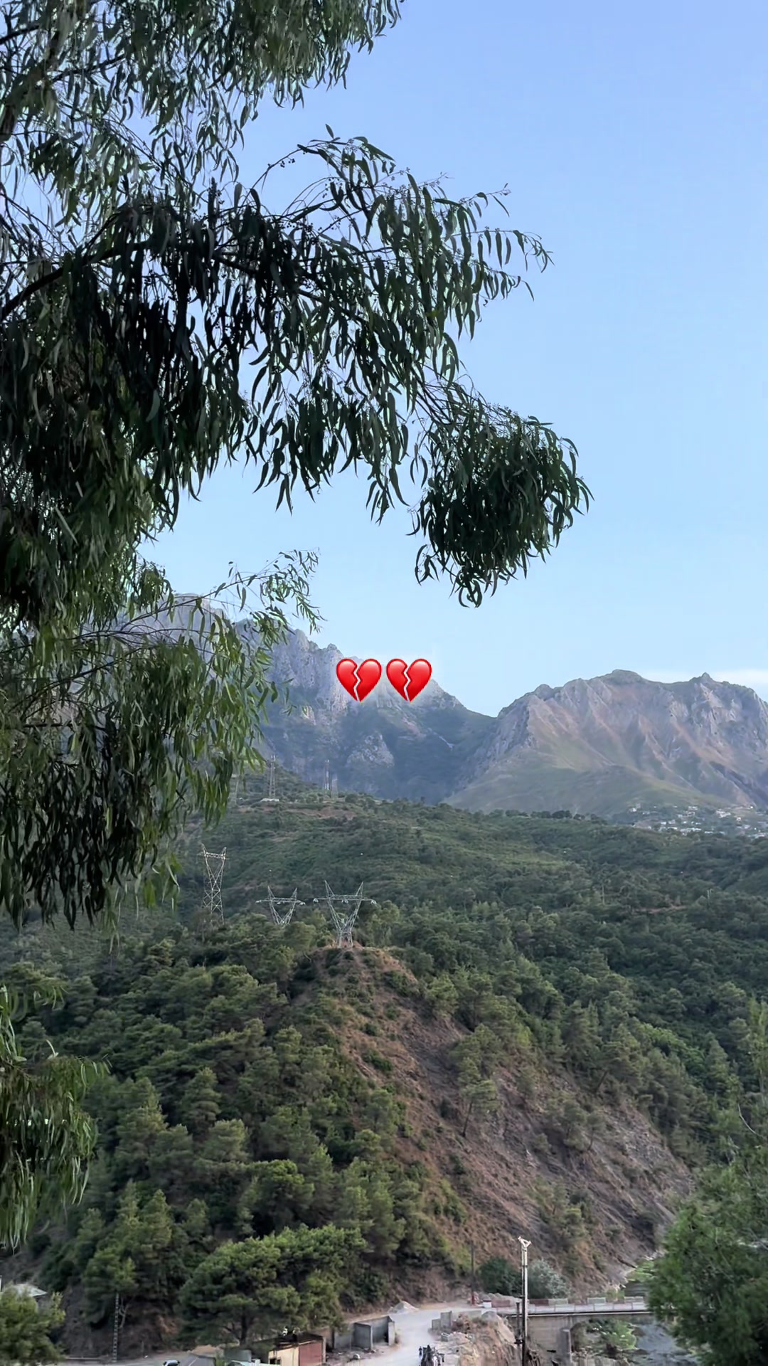 @الماسة الزرقاء🇩🇿💎