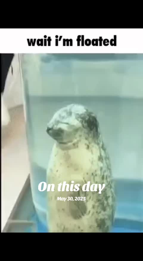 @BulgogiKnight