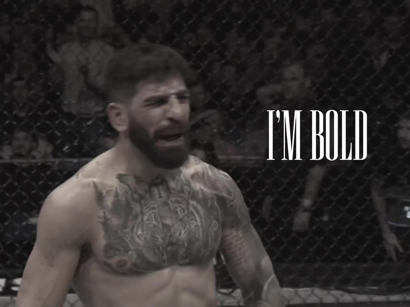 @Gold_UFC