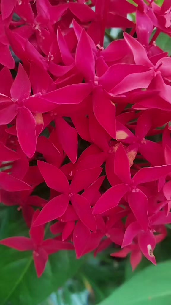 @hirabist21