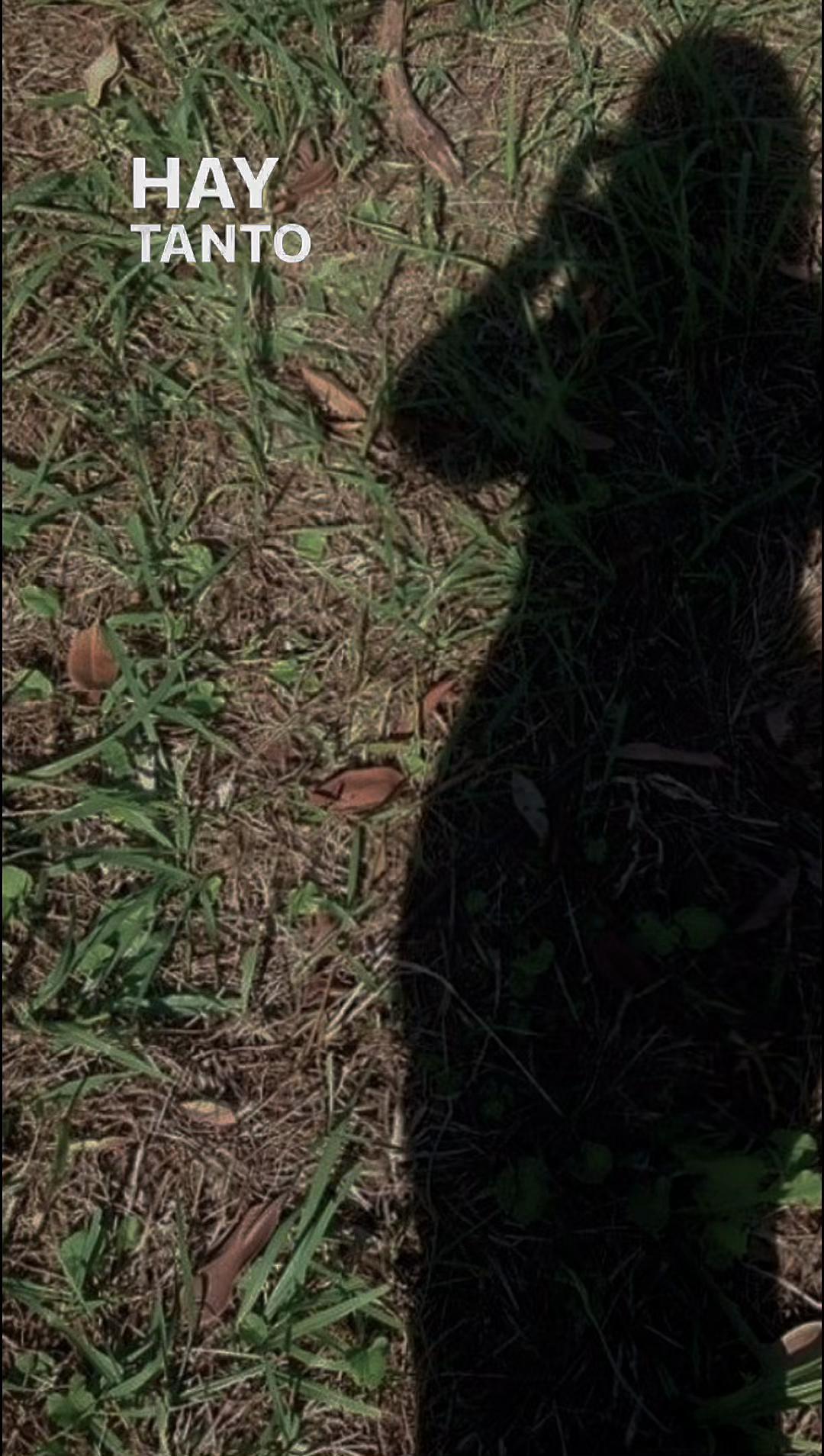 @Mayerline ☄️