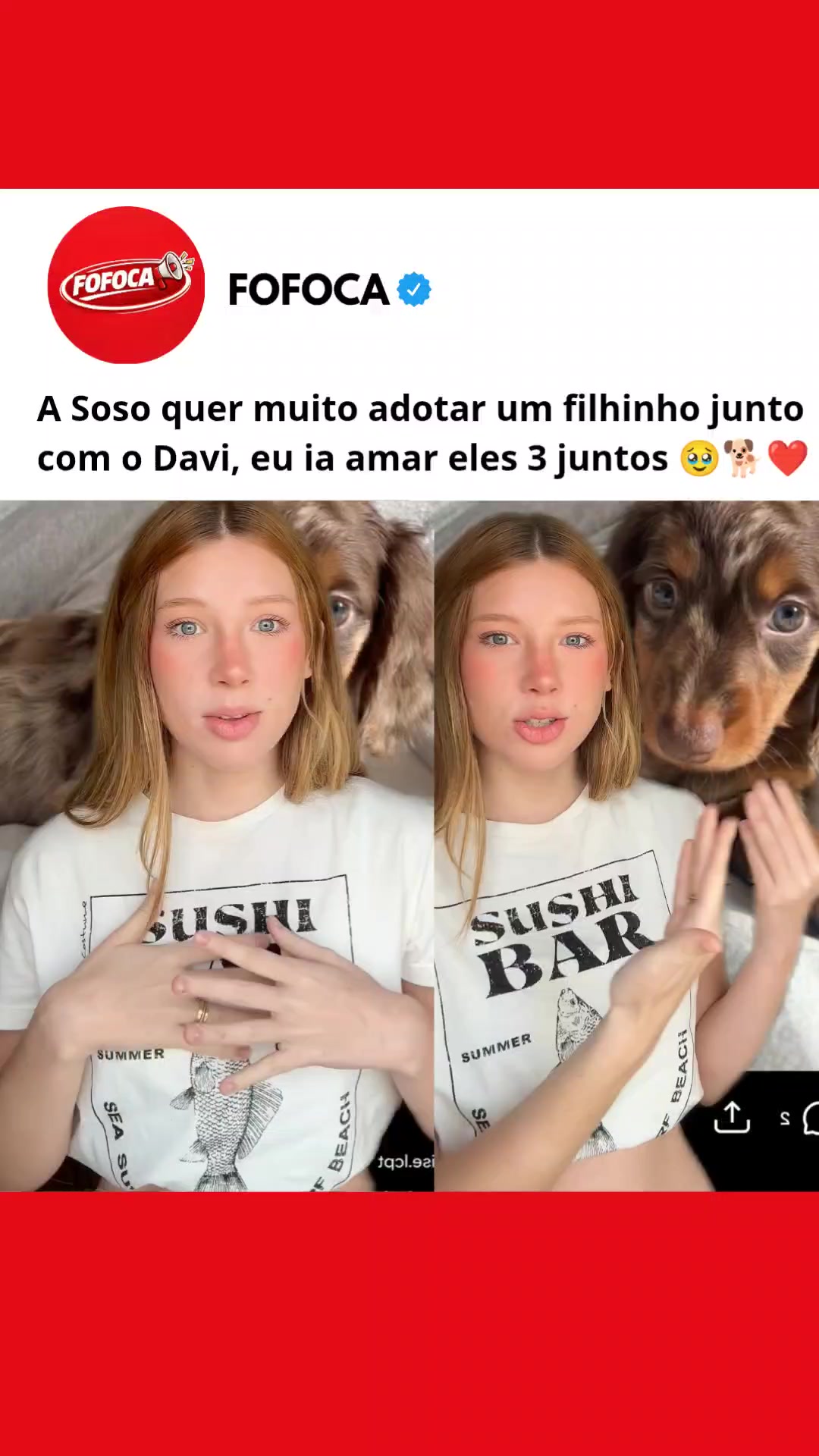 @FOFOCA 🥏