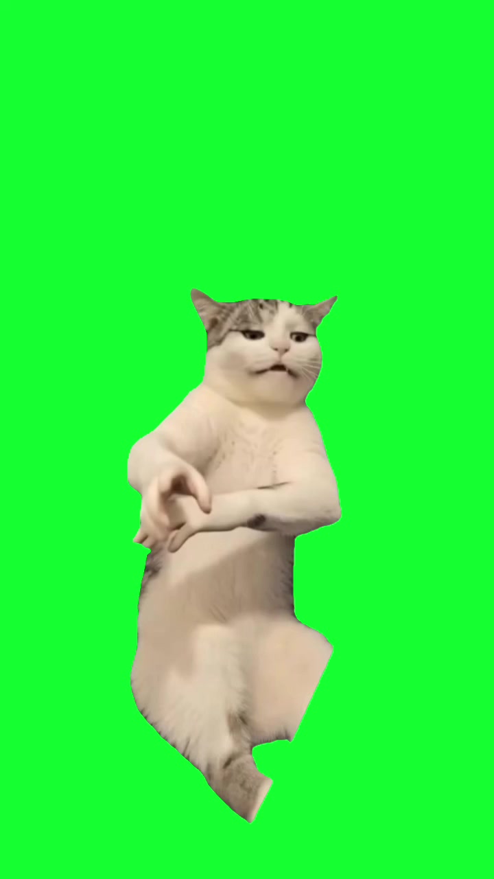 @TikTok Template