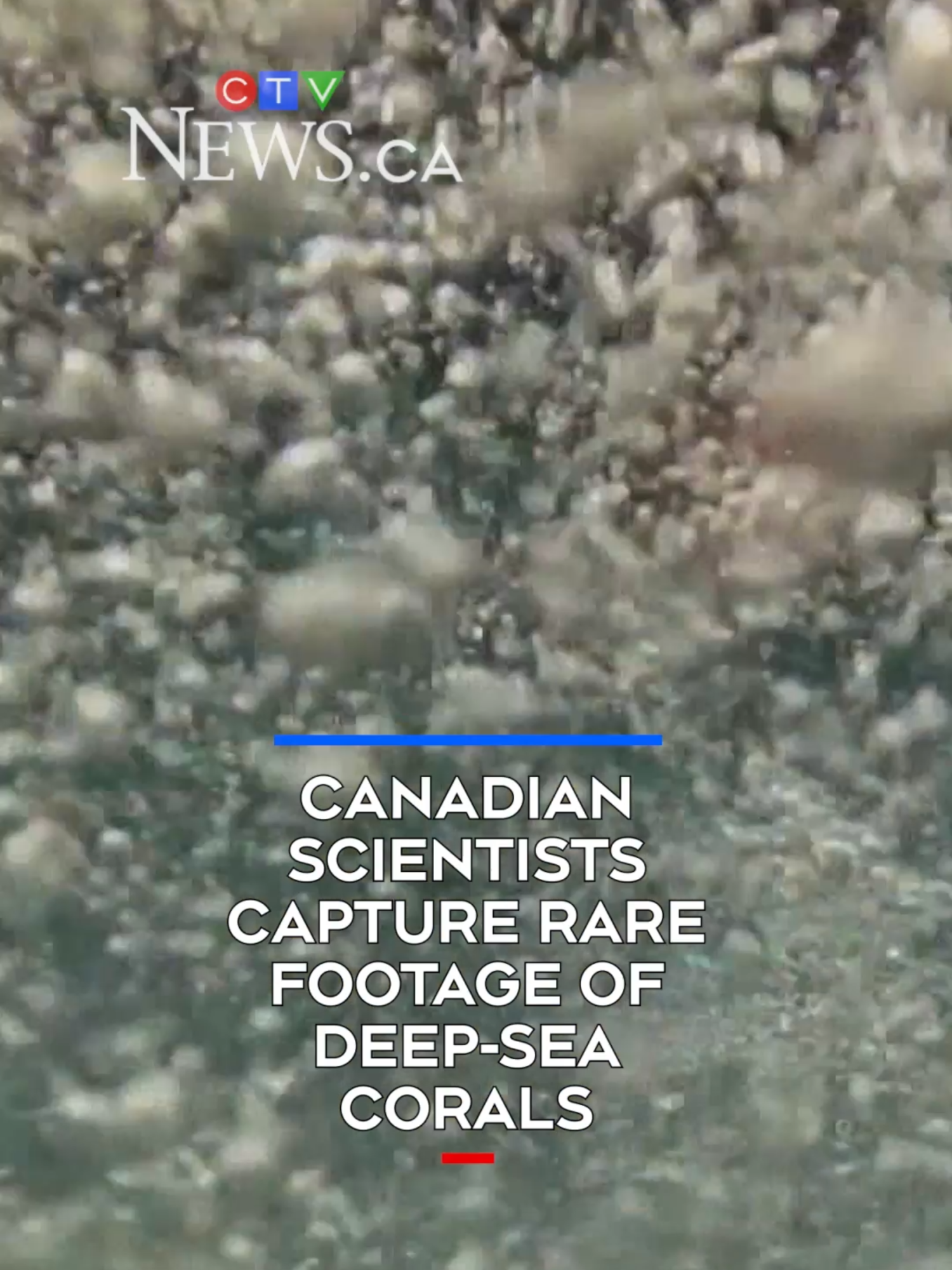 @CTVNews