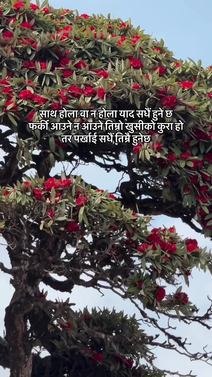 @Sunil