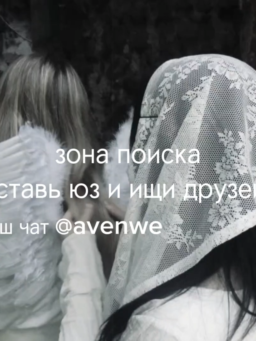 @avenew чат