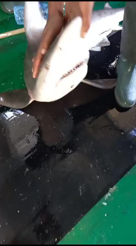 @🛳️hàmìdø⚓⚡Ræysë🐬🏴☠️