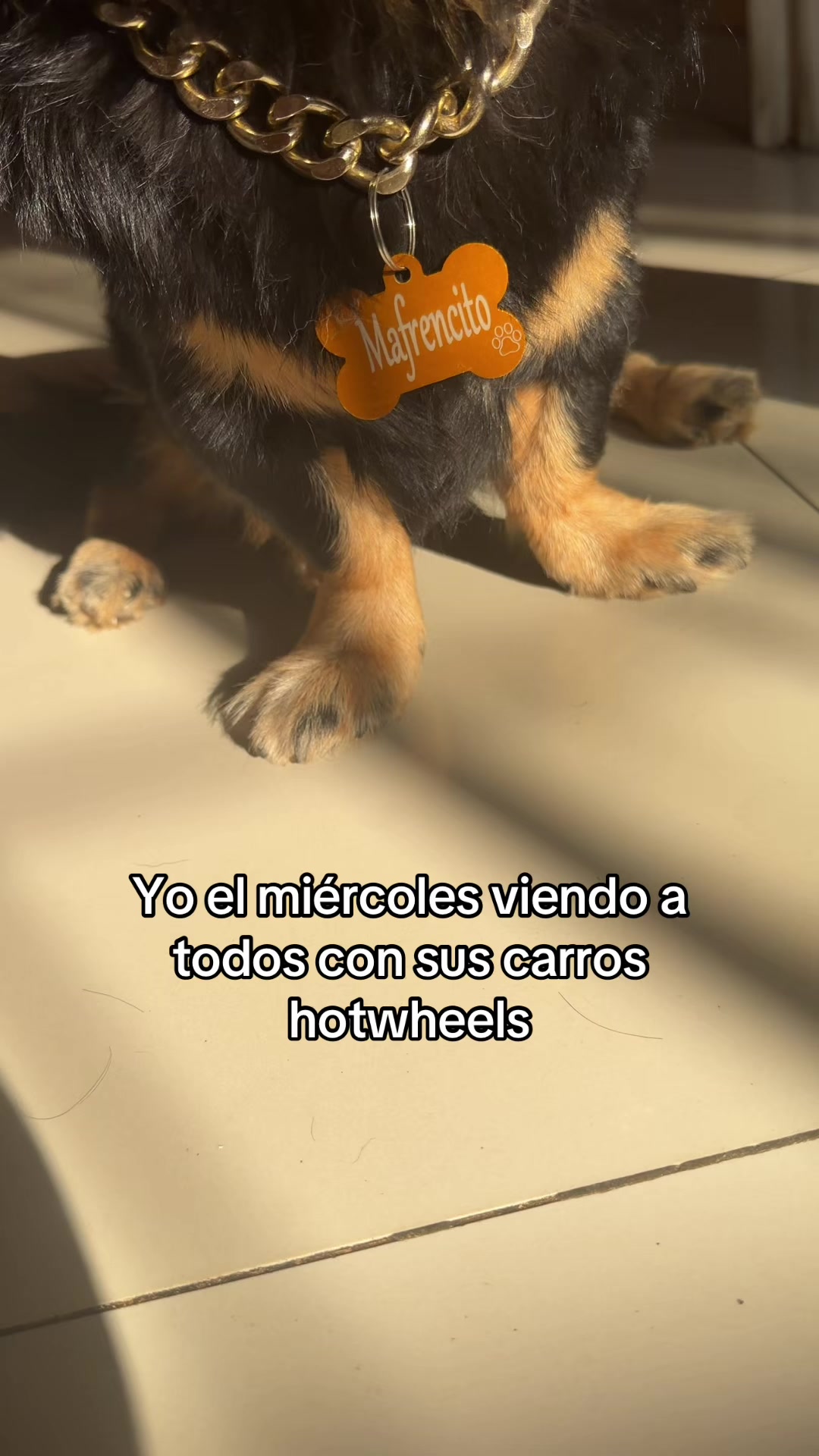 @🍀🐾Luis Pulgarin y Mafrencito