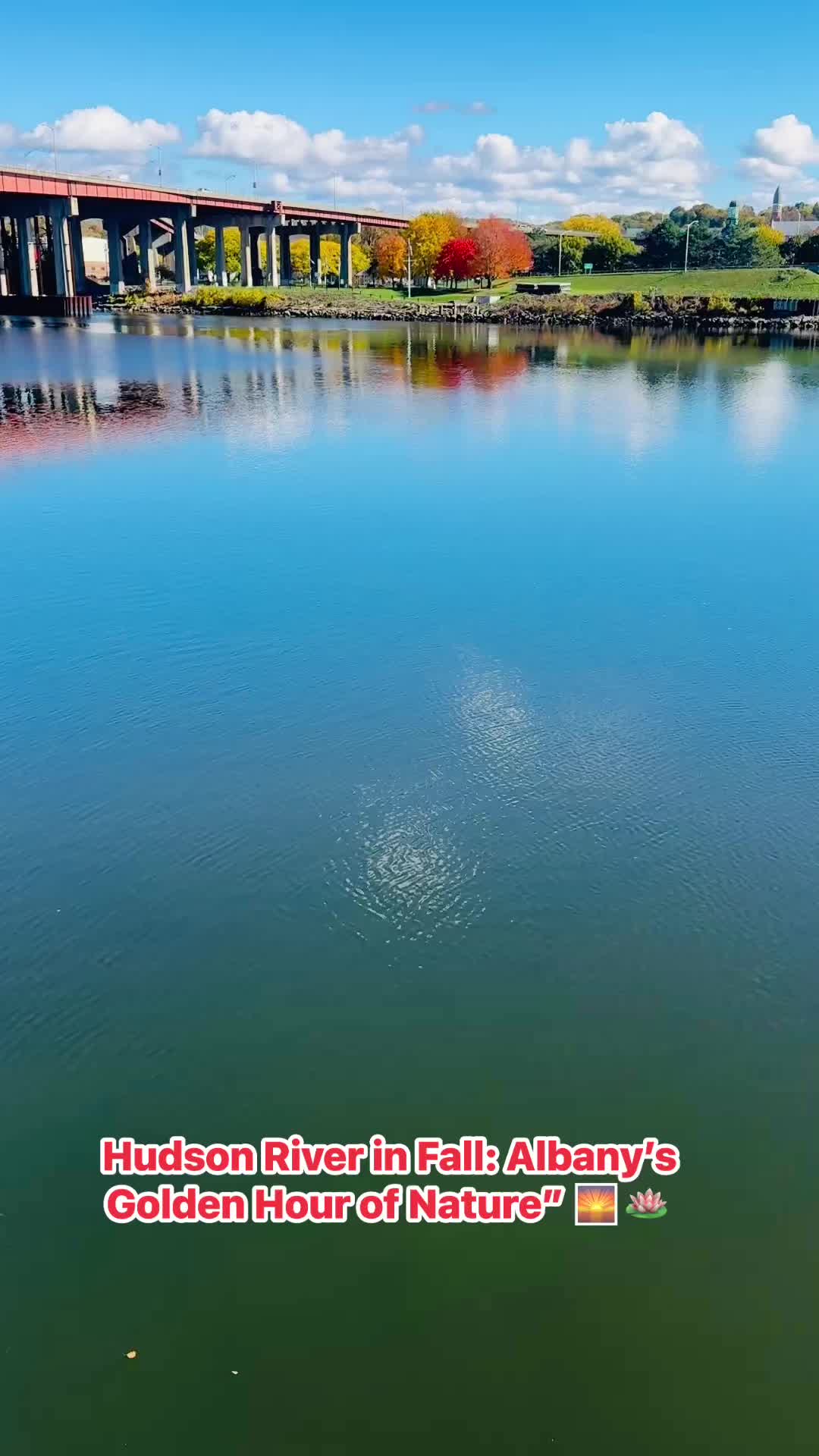 @स्वर्णकमल 🪷