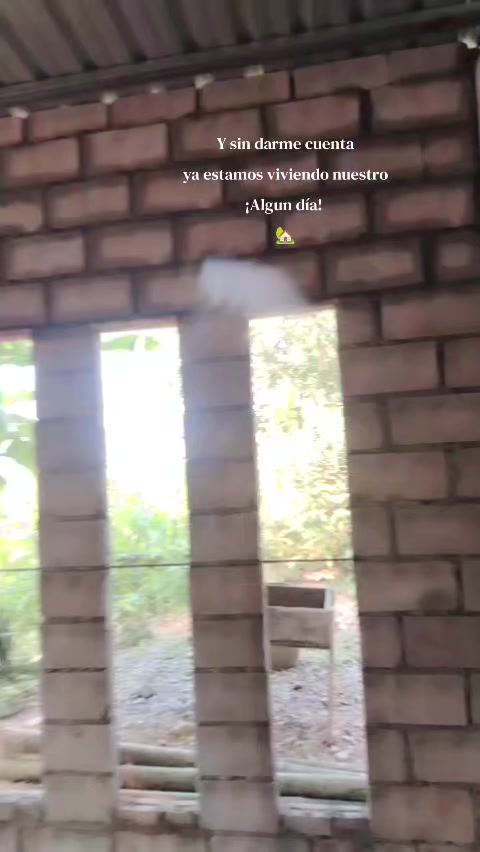 @𝔻𝕒𝕝𝕚𝕫🐣