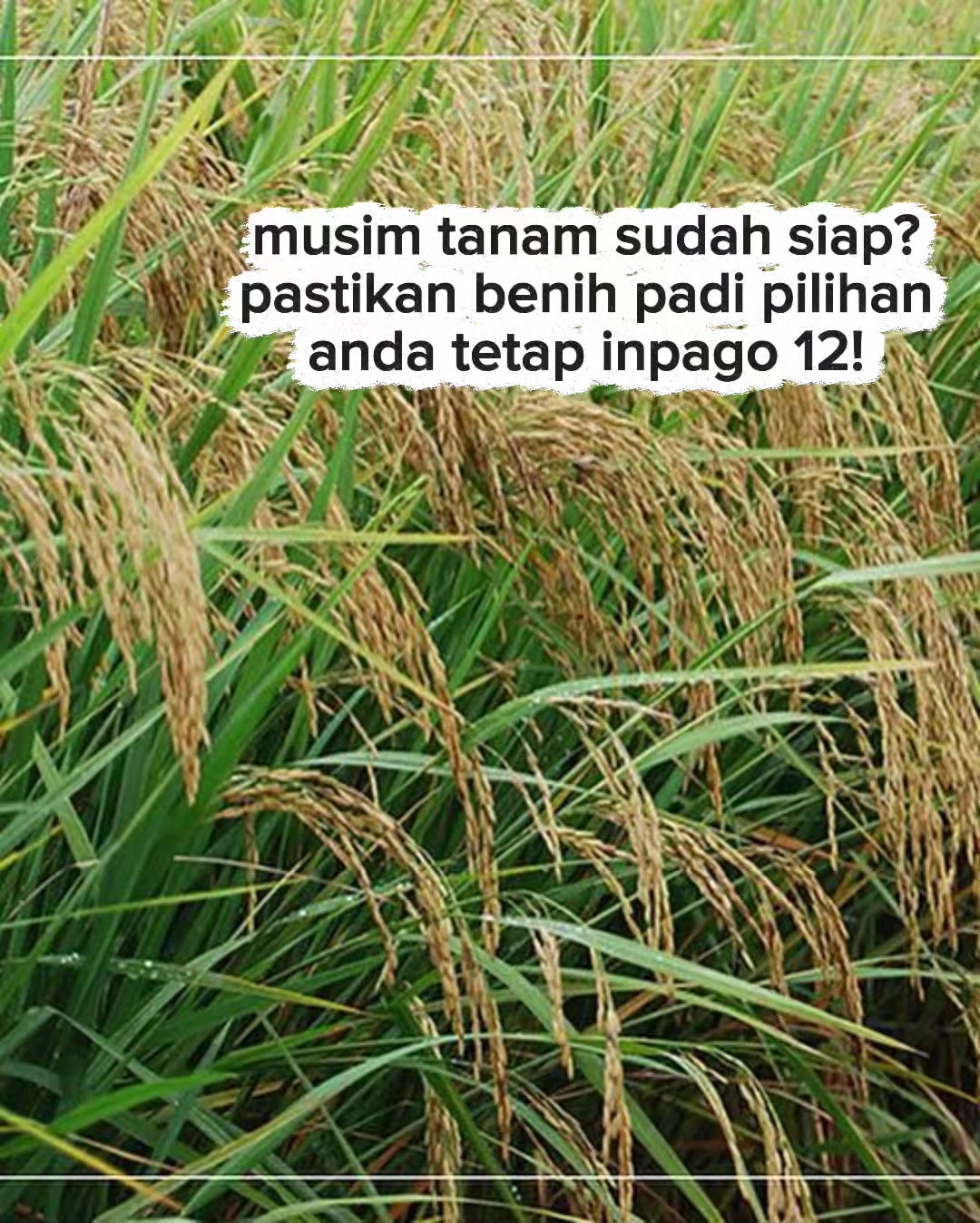 @PT. BHD INDONESIA