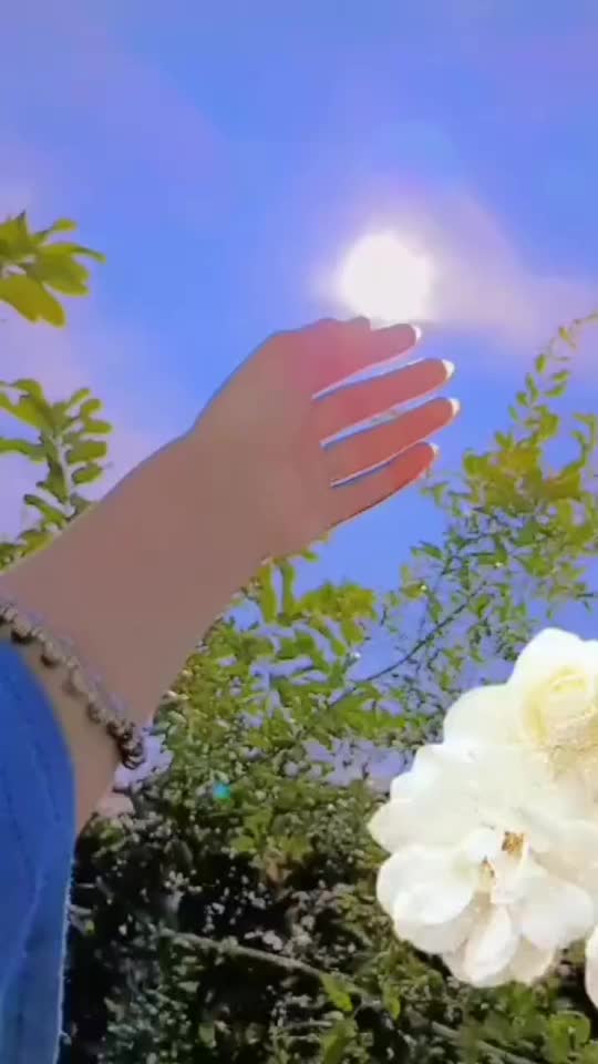 @💕Aنaya💕