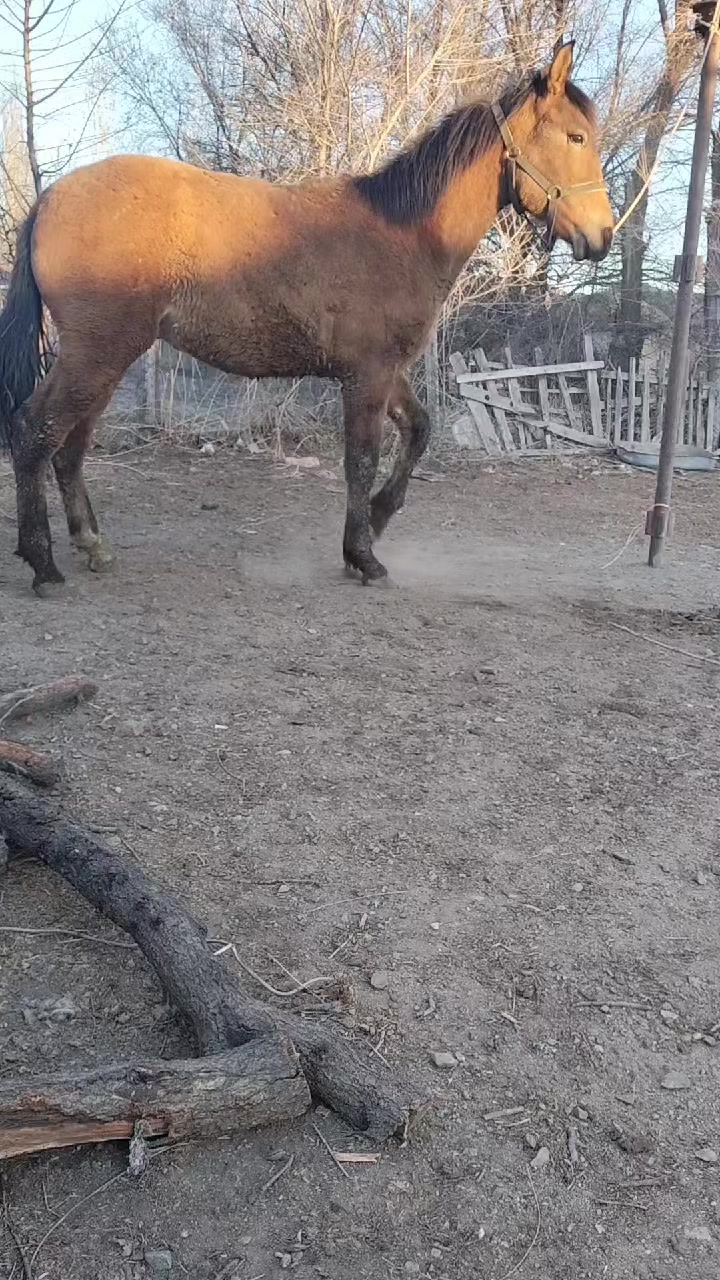 @Rustem91_06