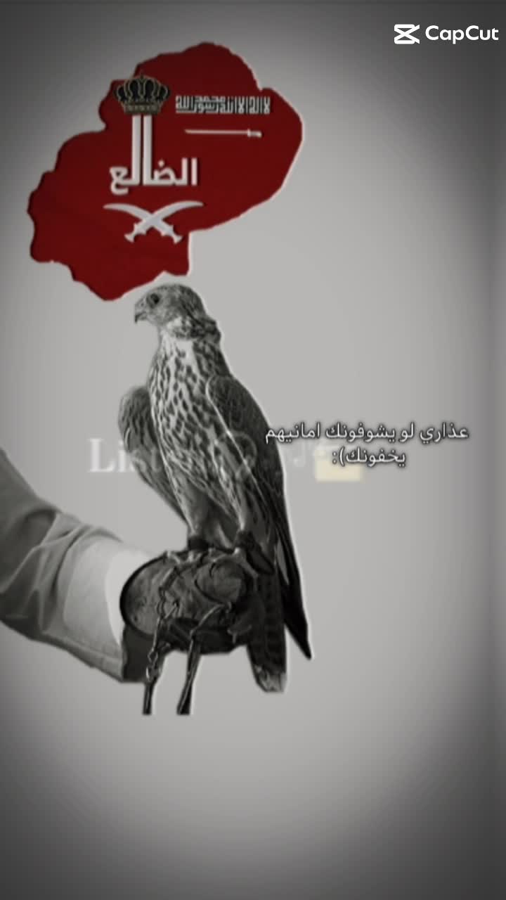 @♯̶مـۭيَآﭑݛݛ اެݪـضَّّٓالعَي ⤿