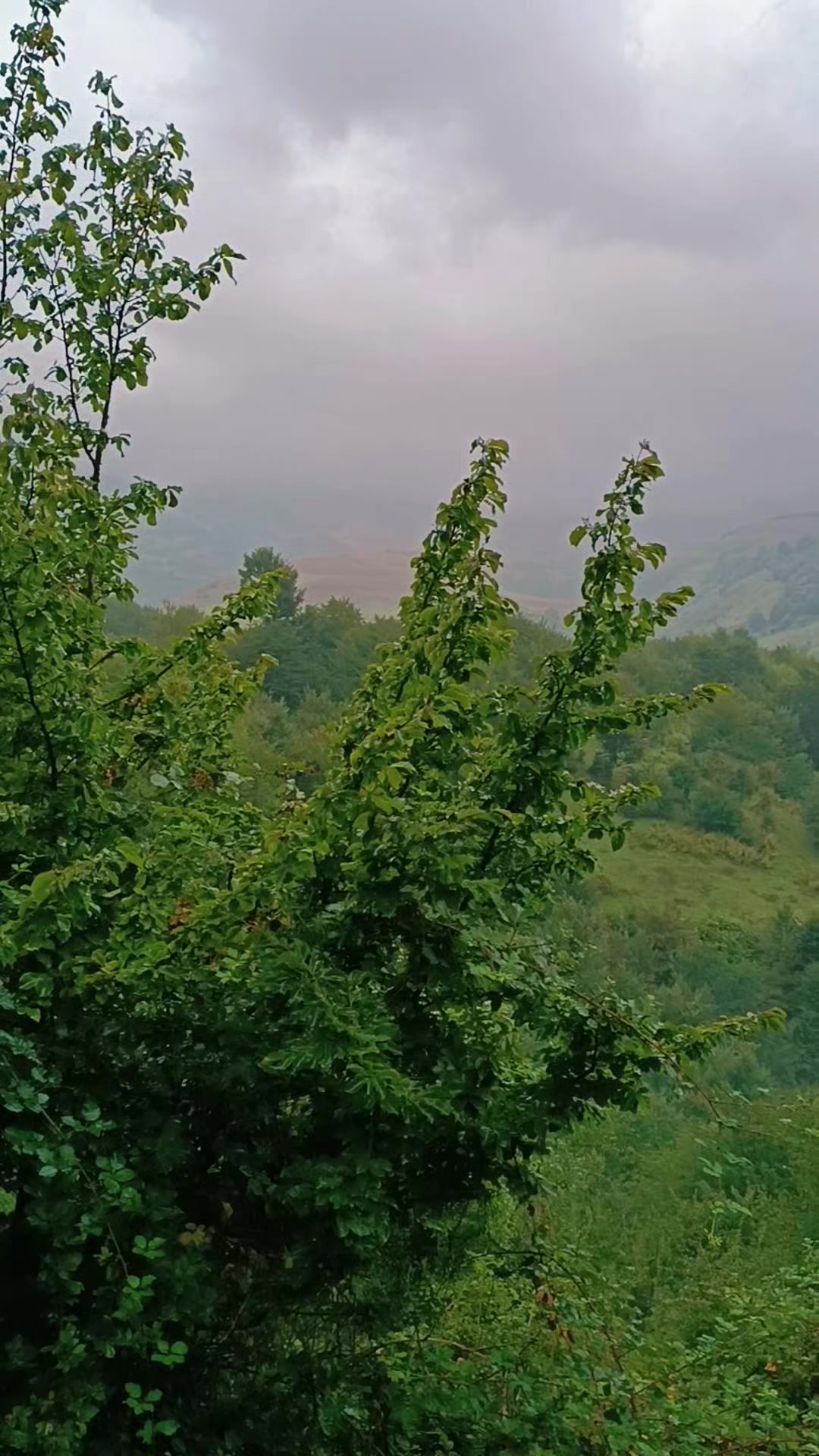 @𝐄𝐥𝐯𝐢𝐧 𝐑𝐳𝐚𝐳𝐚𝐝ə