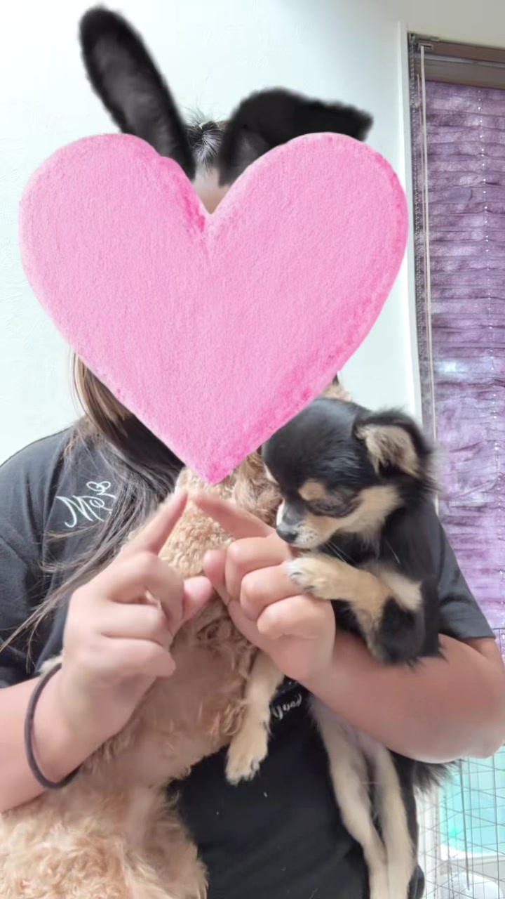 @โฝ๏ธ๐๐ป๐ฅ๐๐