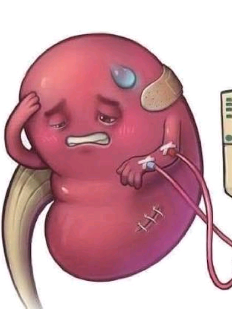 @Dr. Irwing Nefr&oacute;logo-Pediatra