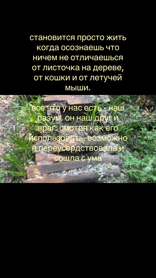 @alaskaqqe